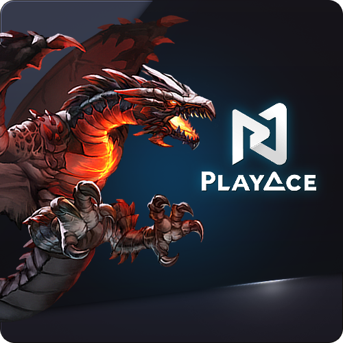 플레이 에이스 슬롯